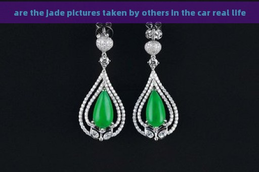 are the jade pictures taken by others in the car real life