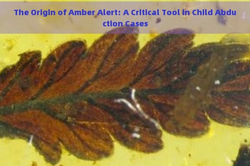 The Origin of Amber Alert: A Critical Tool in Child Abduction Cases