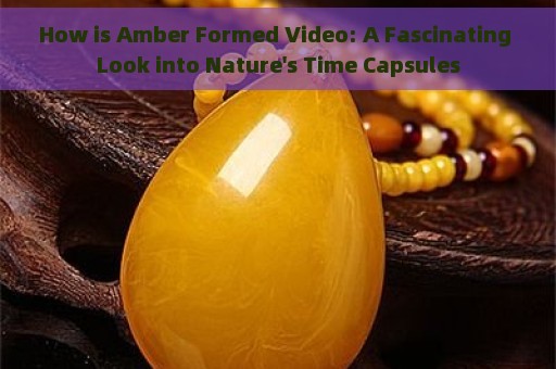 How is Amber Formed Video: A Fascinating Look into Nature's Time Capsules