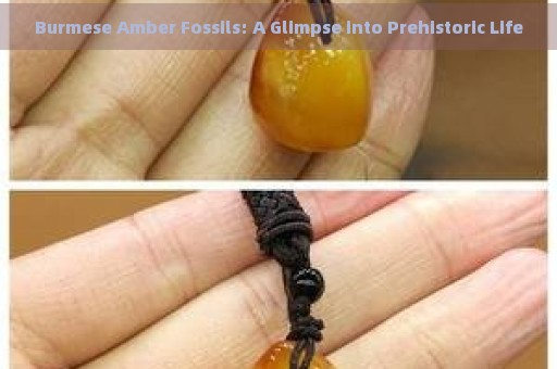 Burmese Amber Fossils: A Glimpse into Prehistoric Life
